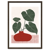 Philodendron Gloriosum plant thumbnail