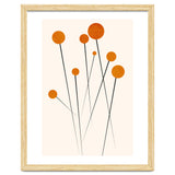 Dreaming Daisies thumbnail