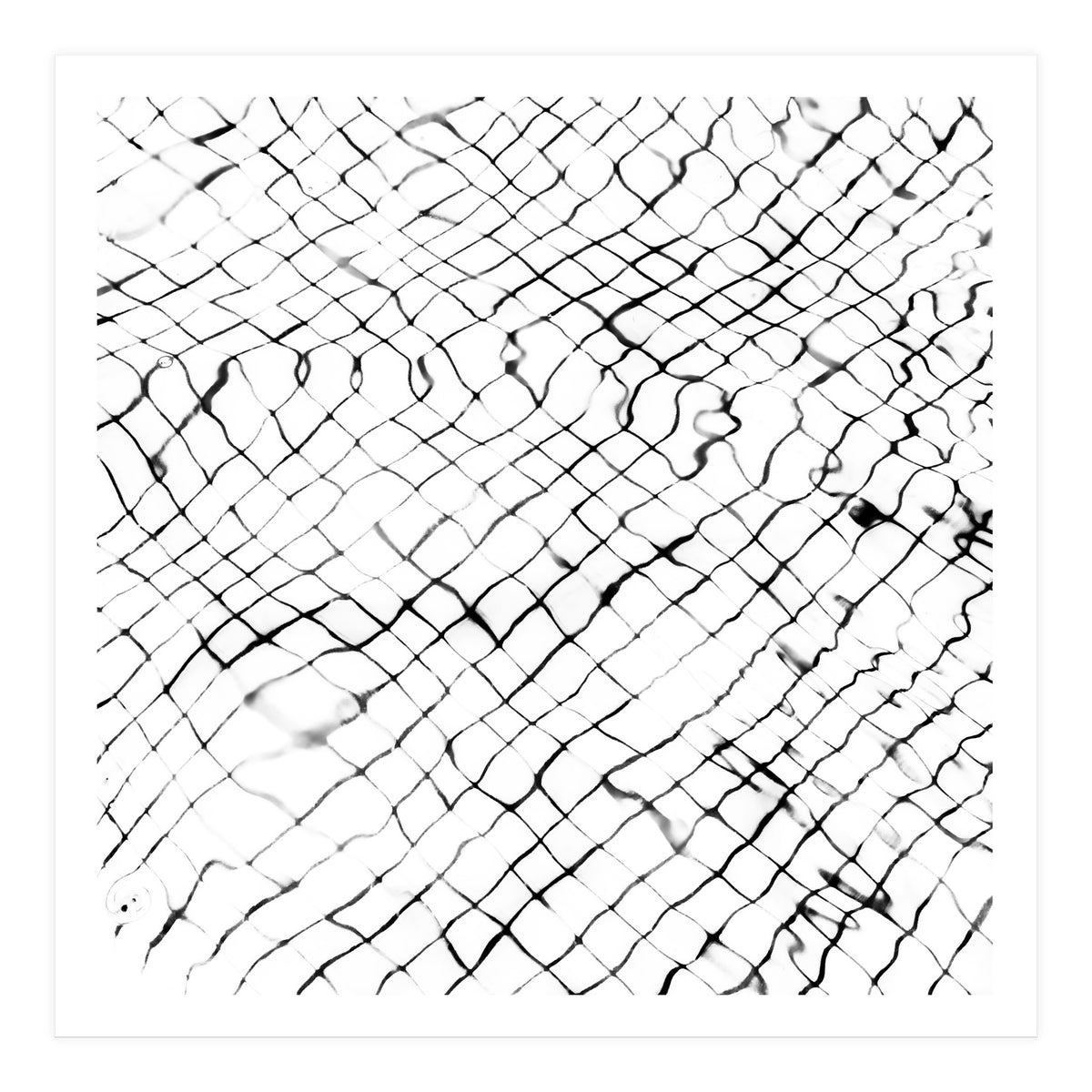 Reflection (Print Only)