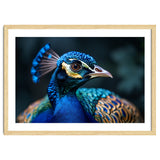 Peacock Head Close Up Majestic Blue Bird thumbnail