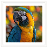 Blue And Gold Macaw Parrot Close Up Portrait thumbnail