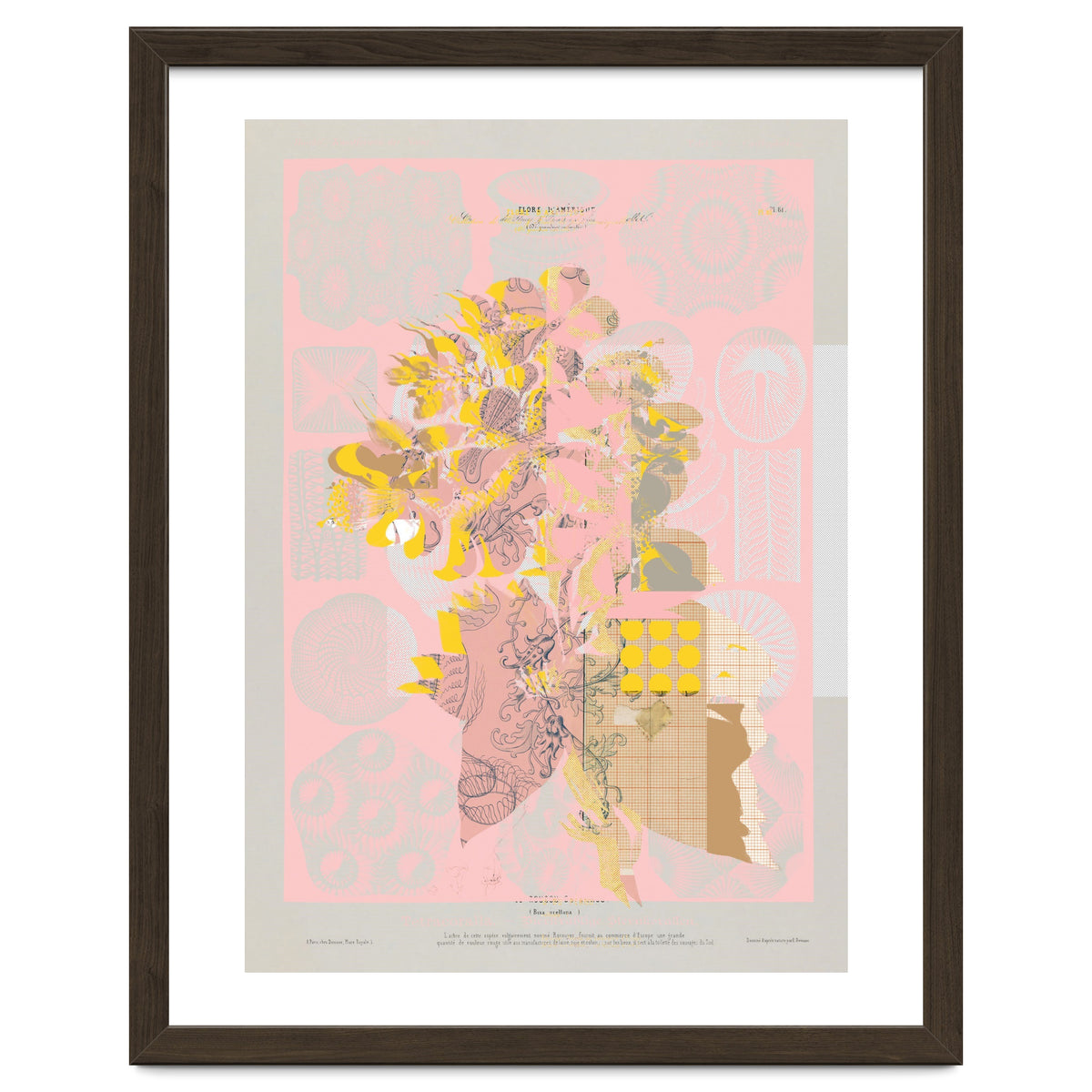 The First Plant · Tuesday Mix Mit Resten