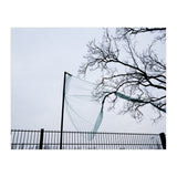 Net caught in a tree (Print Only) thumbnail