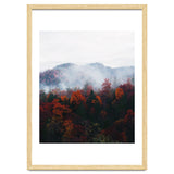 Fog thumbnail