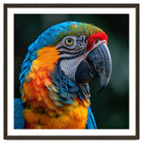 Close Up Of A Colorful Macaw Parrot thumbnail