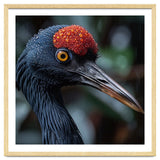 Black Crane Bird Head With Red Crown And Raindrops thumbnail