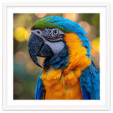 Blue And Yellow Macaw Parrot Close Up Detailed Shot thumbnail