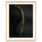 Gourds No 9 Color Version thumbnail