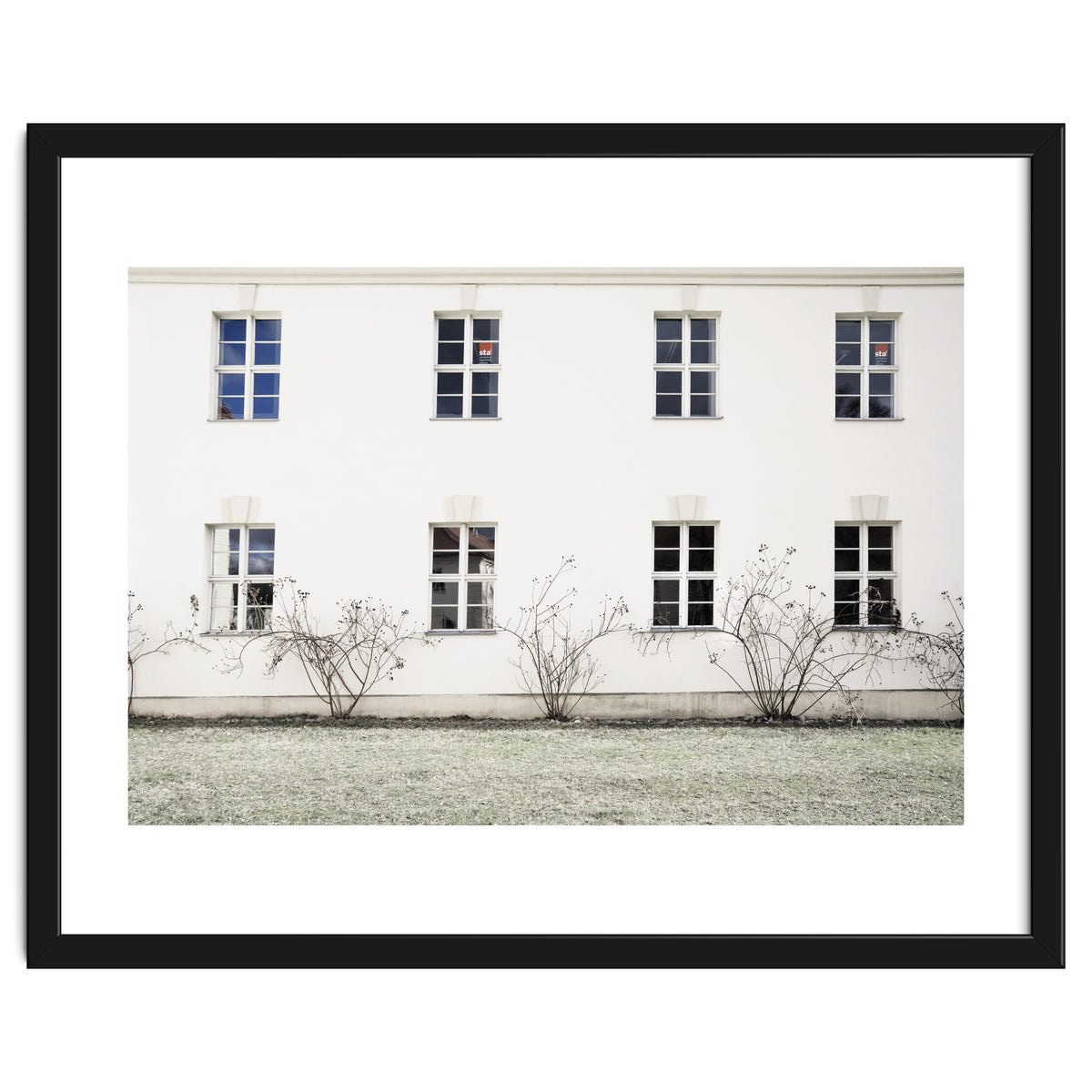 Small trees in between the windows