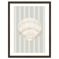 Sea shell