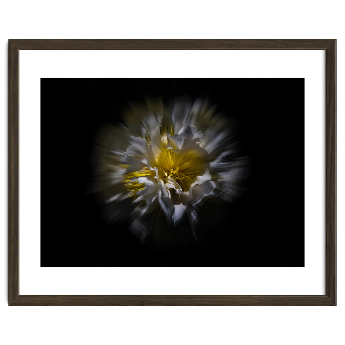 Backyard Flowers No 25 Color Flow Version