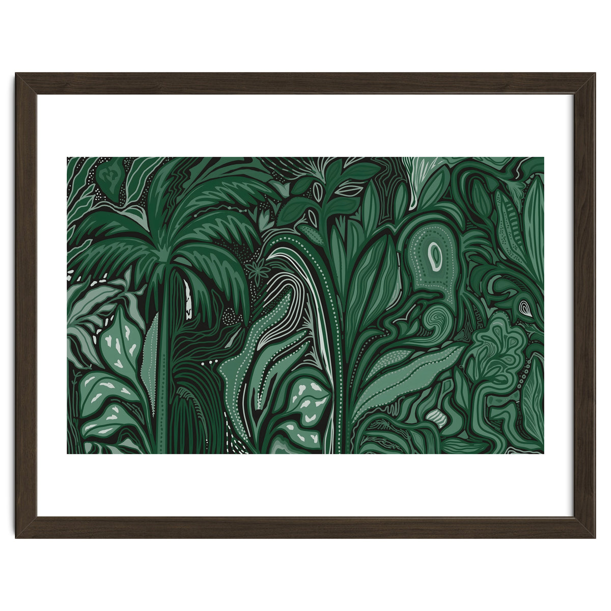 Noctiverdis magnifolia arcana tropical green