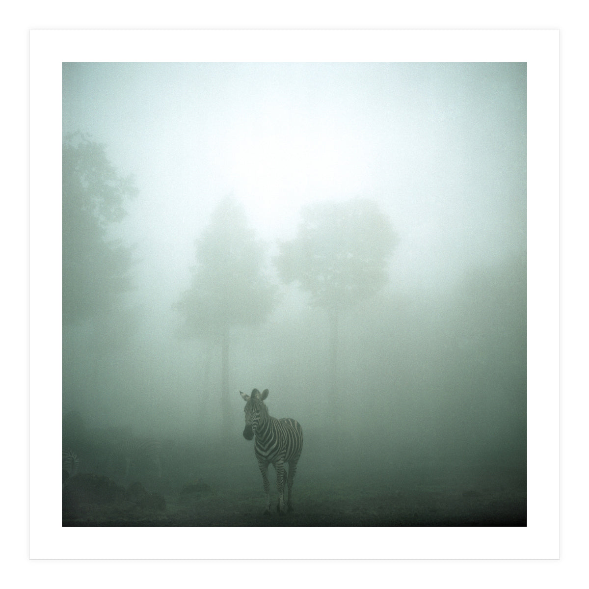 Silence of breath - 01 (Print Only)