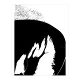 Black & White Study III (Print Only) thumbnail