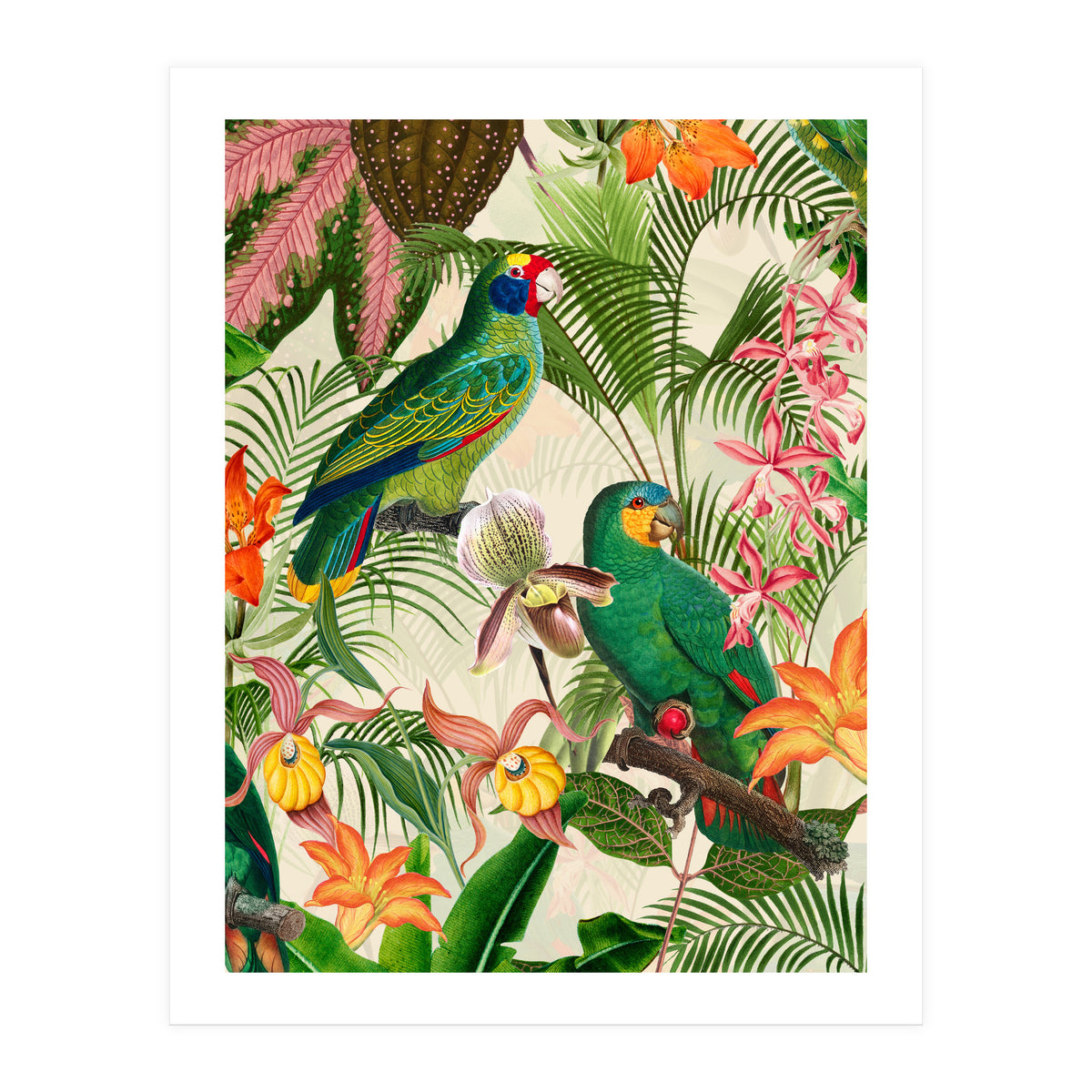 Parrots in tropical Jungle (Print Only)