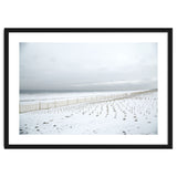 Winter grass in snow beach thumbnail