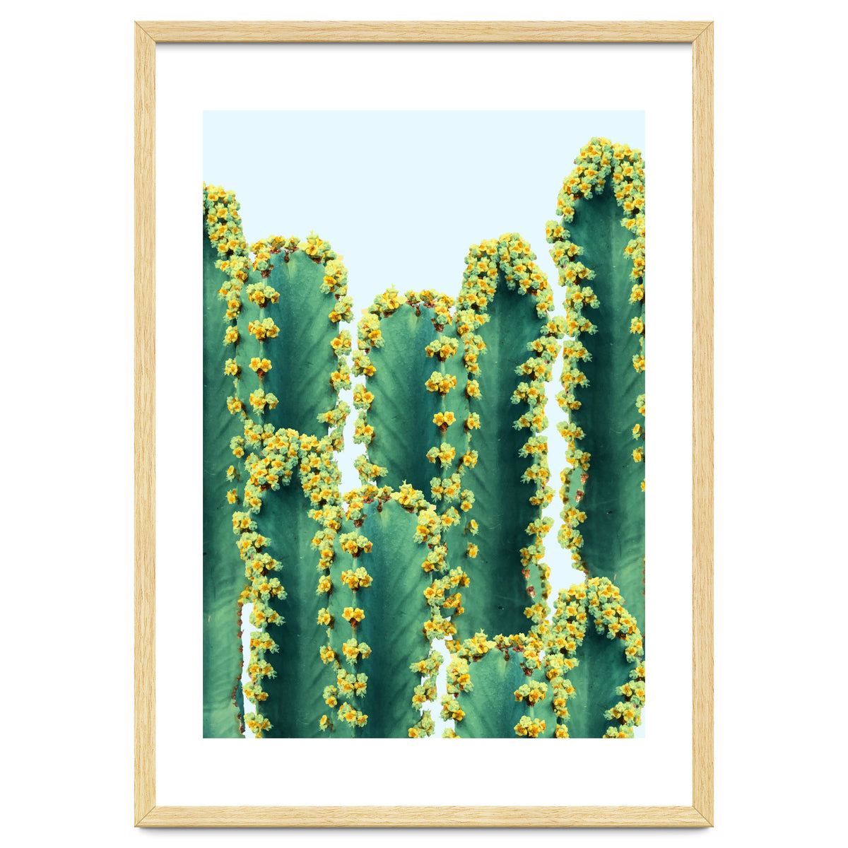 Adorned Cactus #society6 #artprints #buyart