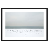 Seagulls in the winter snow beach thumbnail