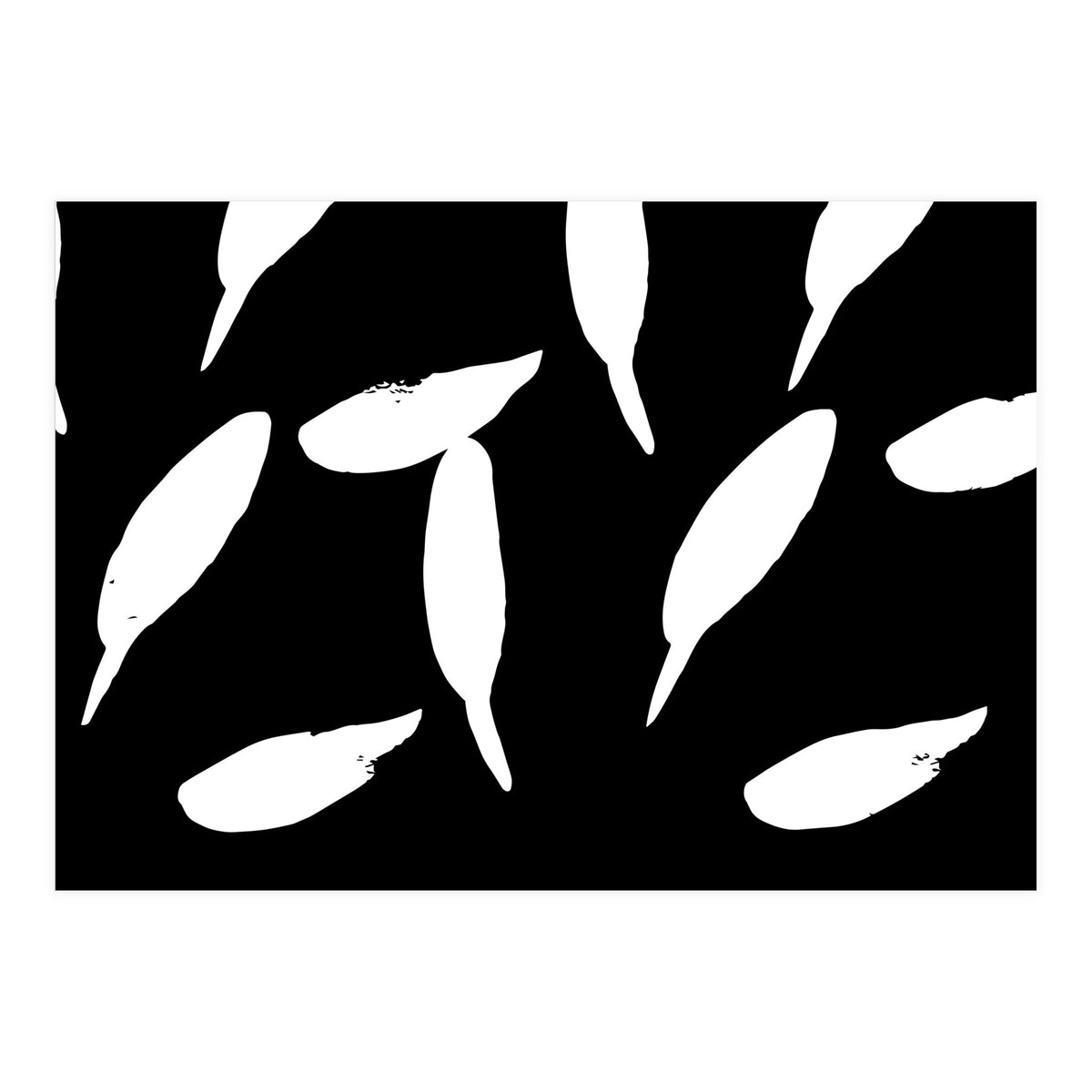 Free Fall (Print Only)