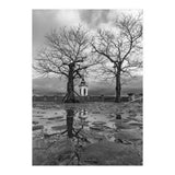 Churches and trees (Print Only) thumbnail