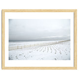 Winter grass in snow beach thumbnail
