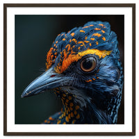 Close Up Of A Colorful Bird Head And Eye