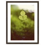 Out of the green thumbnail
