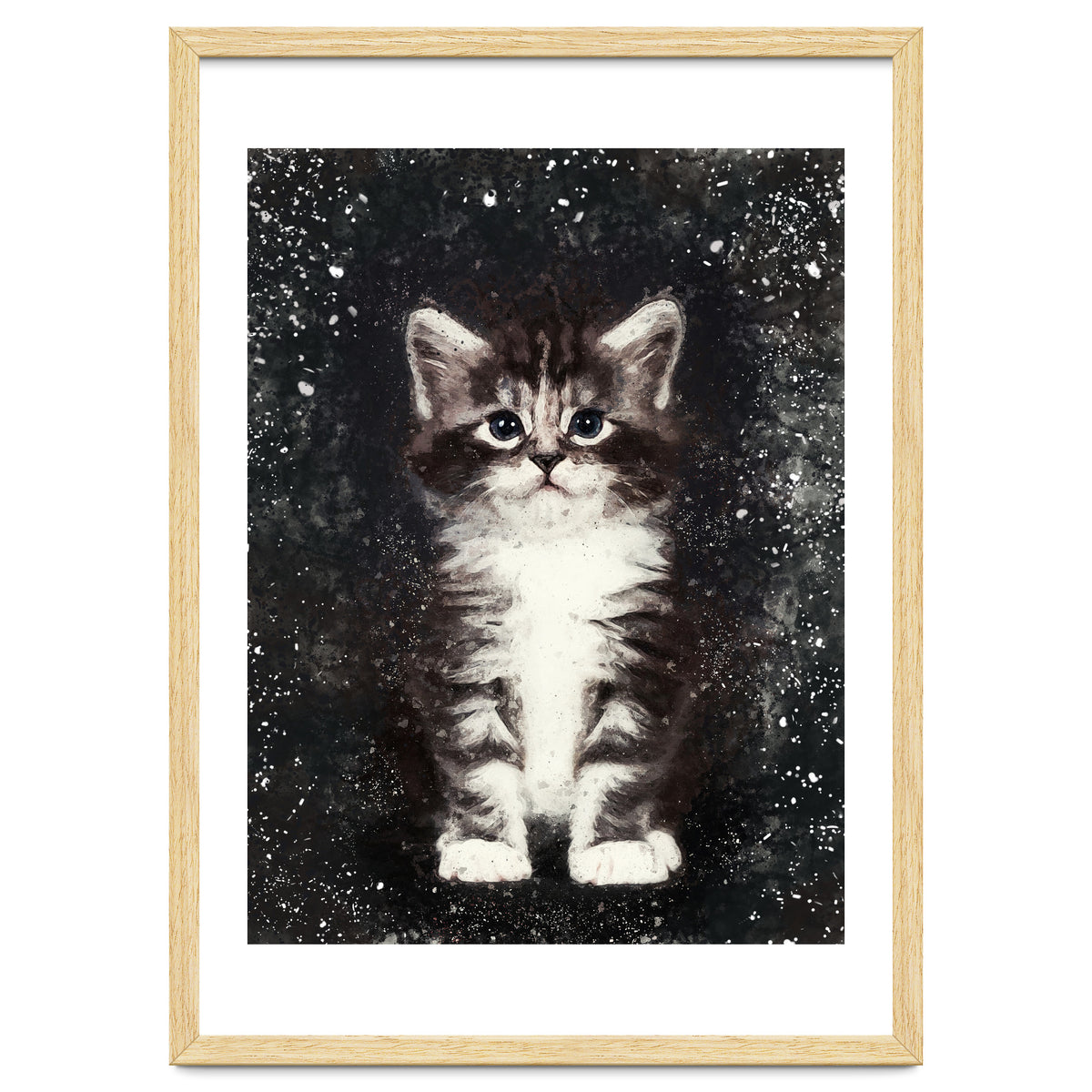 Bicolor Cute Kitten Portrait