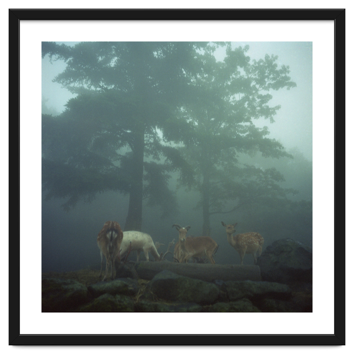 Silence of breath - 05