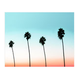 Sunset Boulevard #society6 #decor #buyart (Print Only) thumbnail