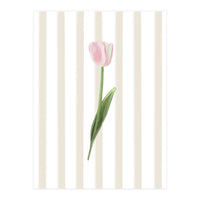 Single Tulip (Print Only)