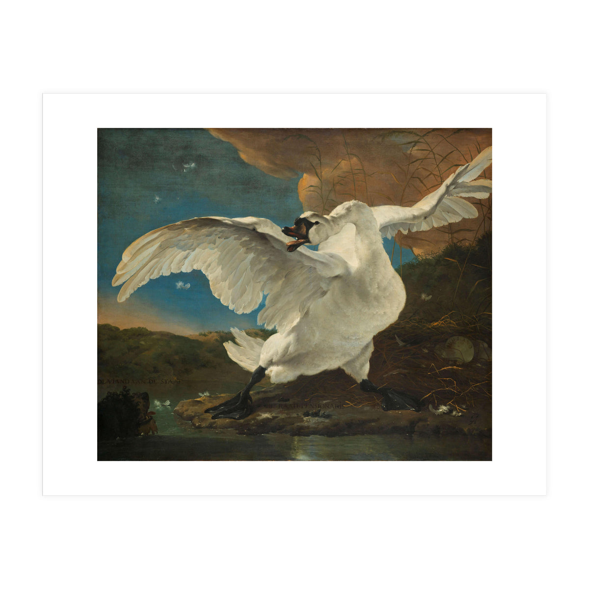 The Threatened Swan. The Threatened Swan; Interpreted later as an Allegory on Johan de Witt. Dati... (Print Only)