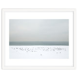 Seagulls in the winter snow beach thumbnail