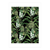 Banano Leaves Dark Jungle (Print Only)