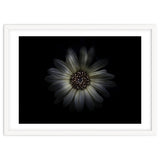 Backyard Flowers No 27 Color Version thumbnail