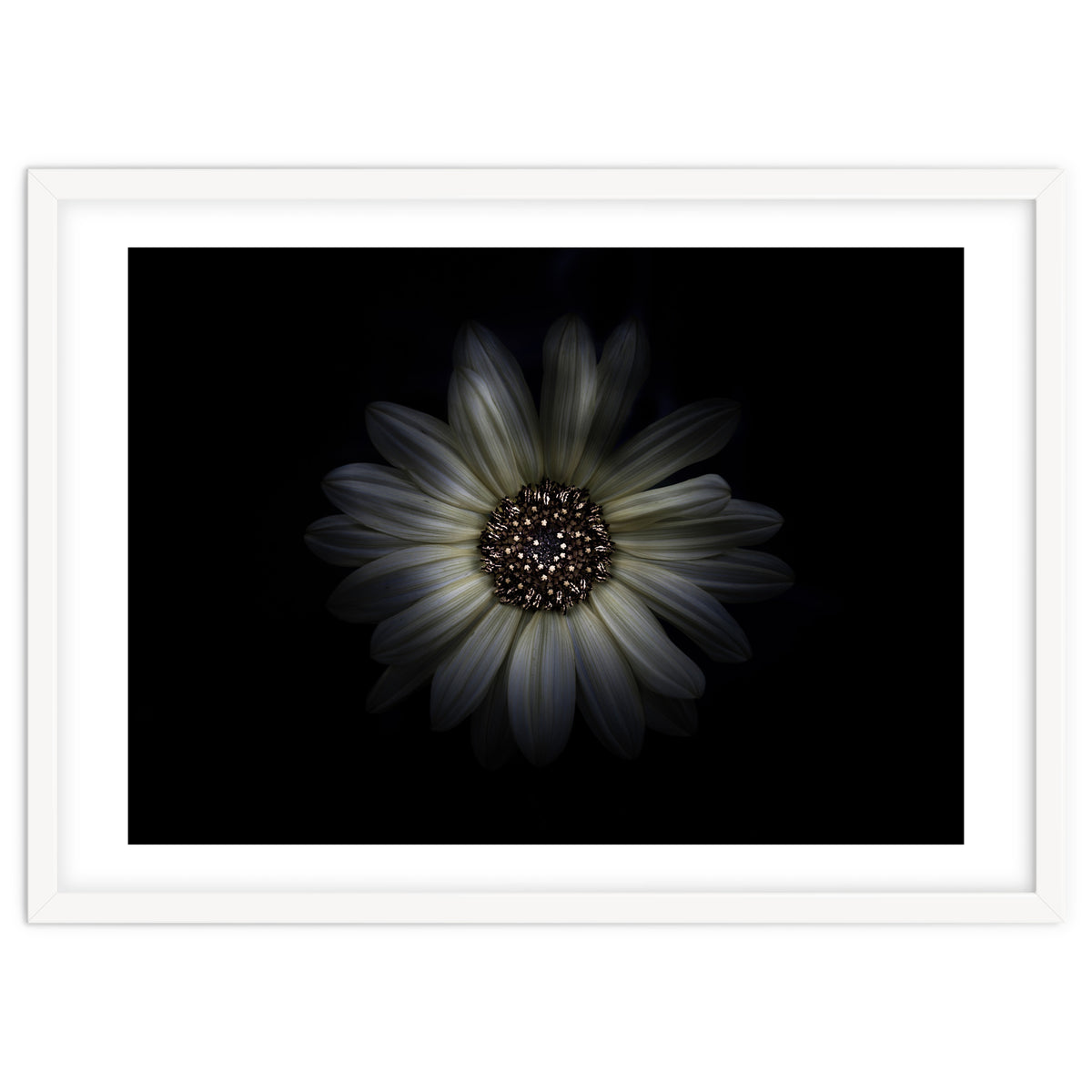 Backyard Flowers No 27 Color Version