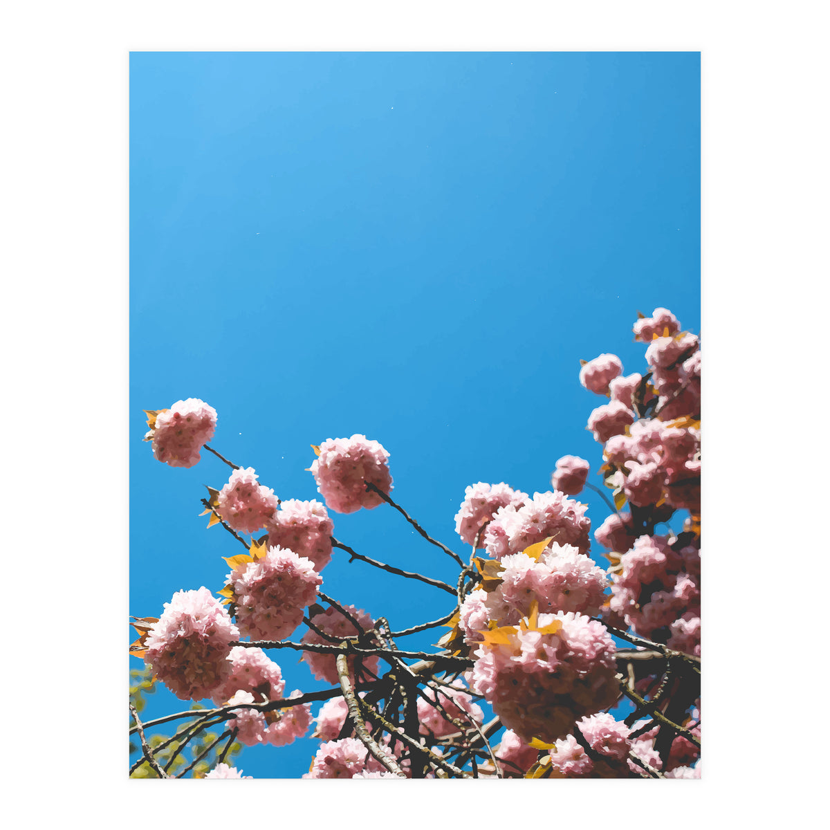 Pink Summer (Print Only)