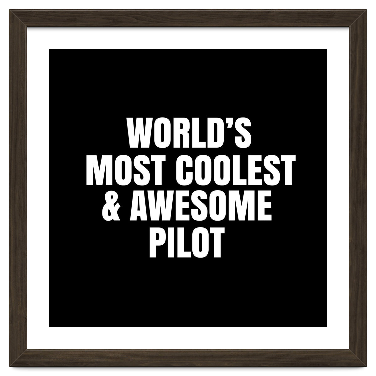 World's most coolest and awesome pilot