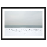 Seagulls in the winter snow beach thumbnail