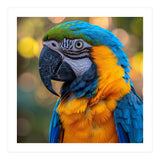 Blue And Yellow Macaw Parrot Close Up Detailed Shot (Print Only) thumbnail