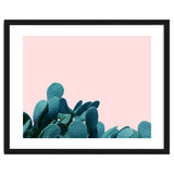 Kaktos thumbnail