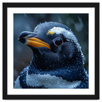 Macro view of a Penguin with Water Droplets