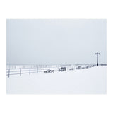 Benches along the pier on snow beach (Print Only) thumbnail