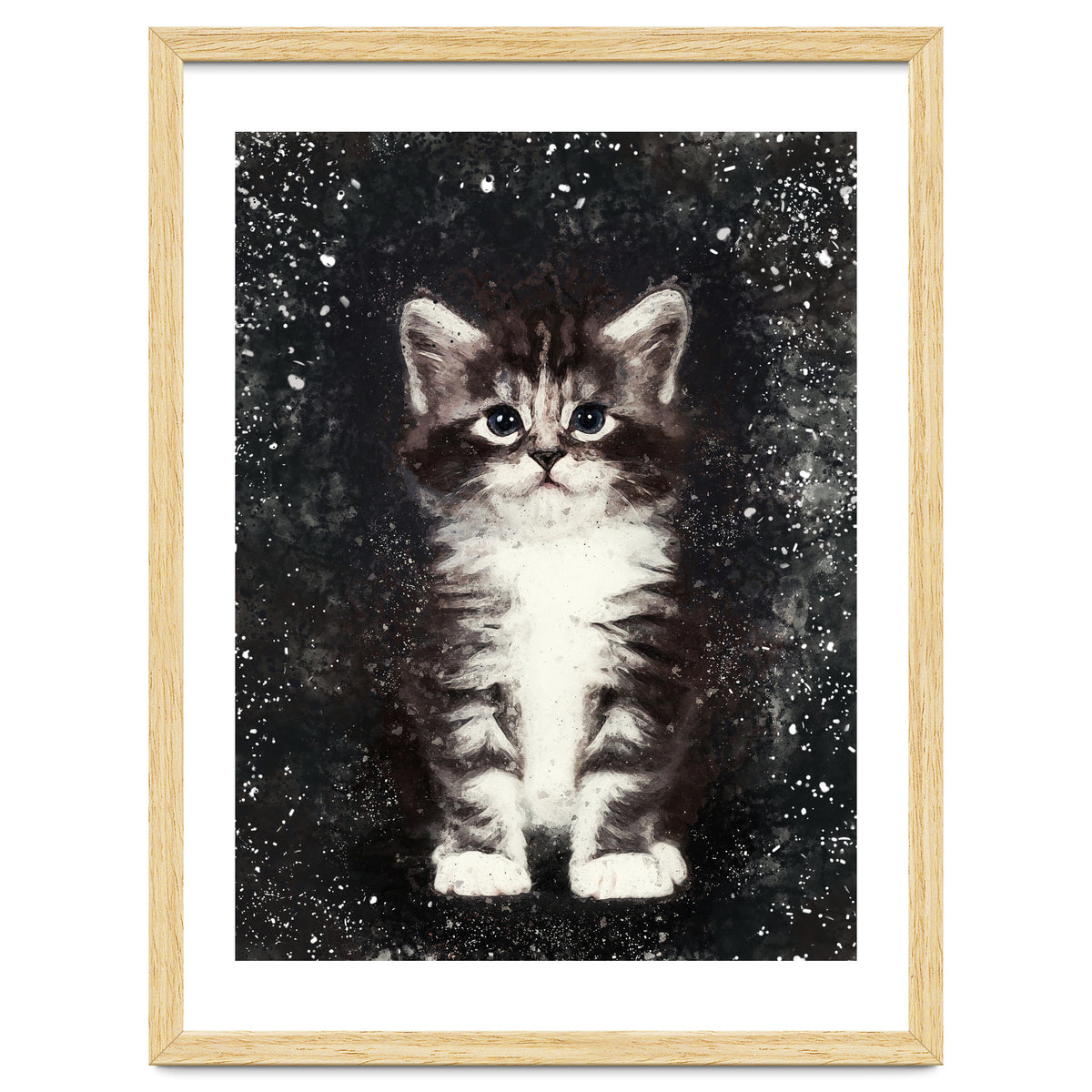Bicolor Cute Kitten Portrait