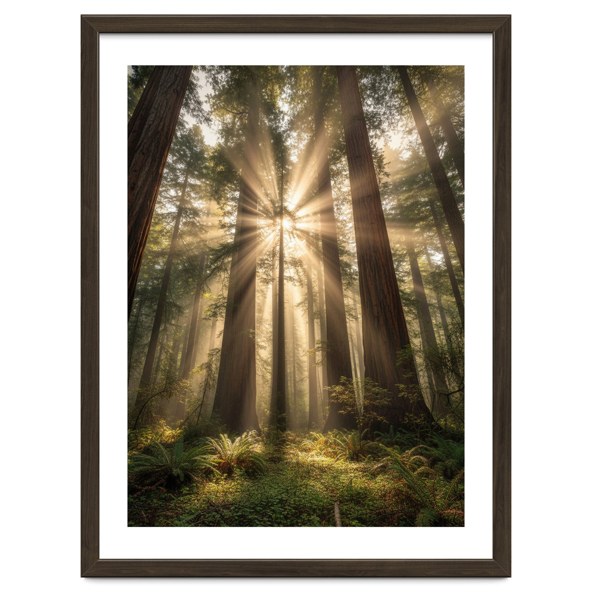 Ethereal Redwood Sanctuary: Sunbeams in the Ancient Forest