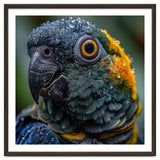Close Up Of A Wet Macaw Parrot Head thumbnail