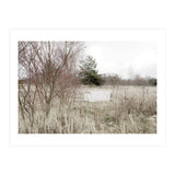 Abandoned Sofa in the middle of nowhere (Print Only) thumbnail