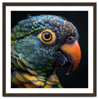Close Up Of A Colorful Parrot's Face
