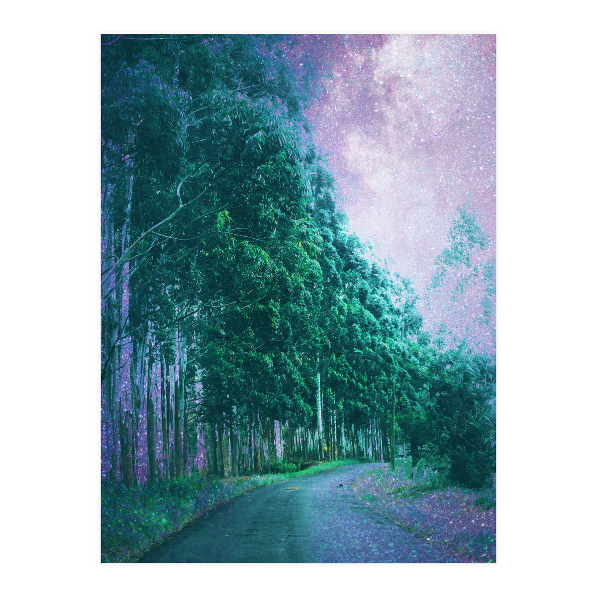 Magical Path (Print Only)