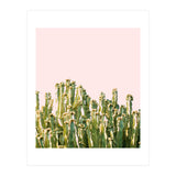 Cactus Blush #society6 #decor #buyart (Print Only) thumbnail